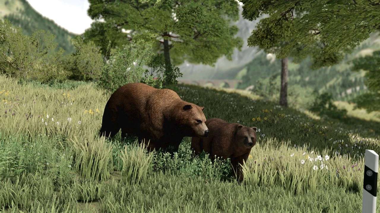 Grizzly Bears Pack v 1.0