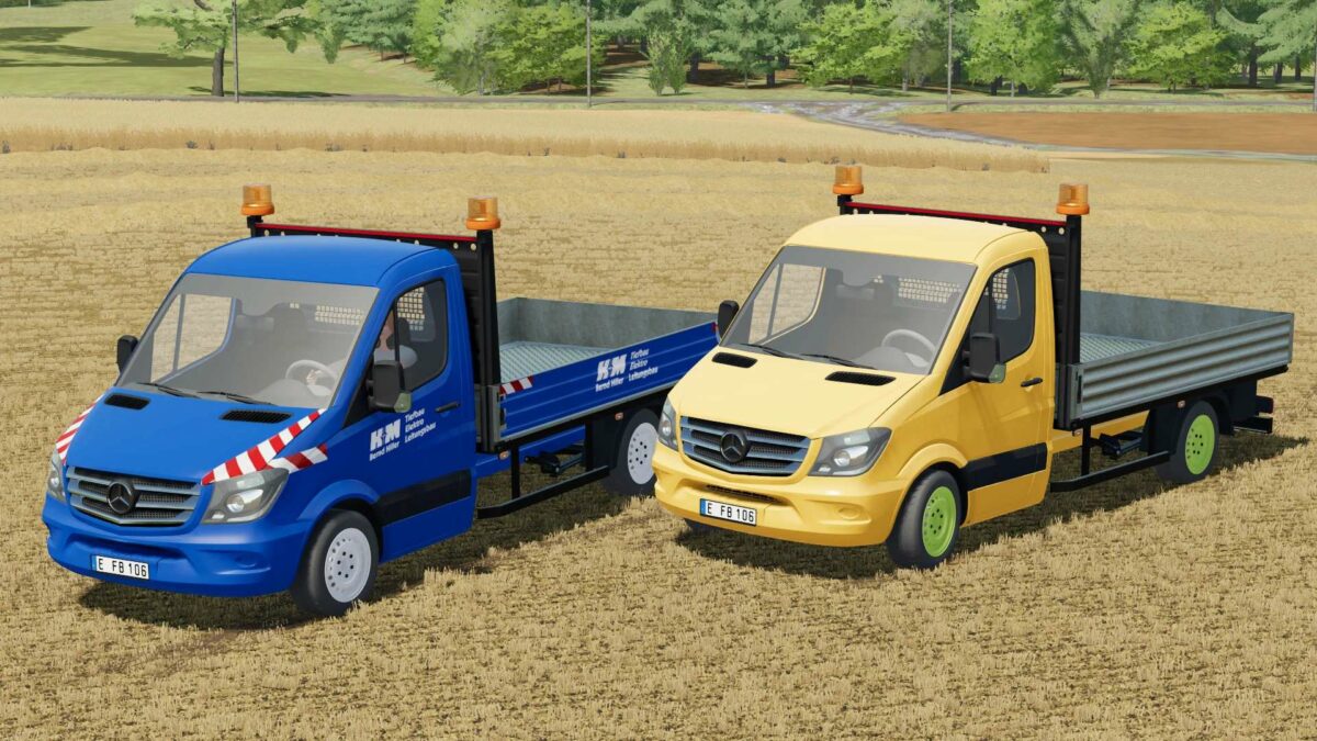 Mercedes Benz Sprinter Cdi V Fs Mods