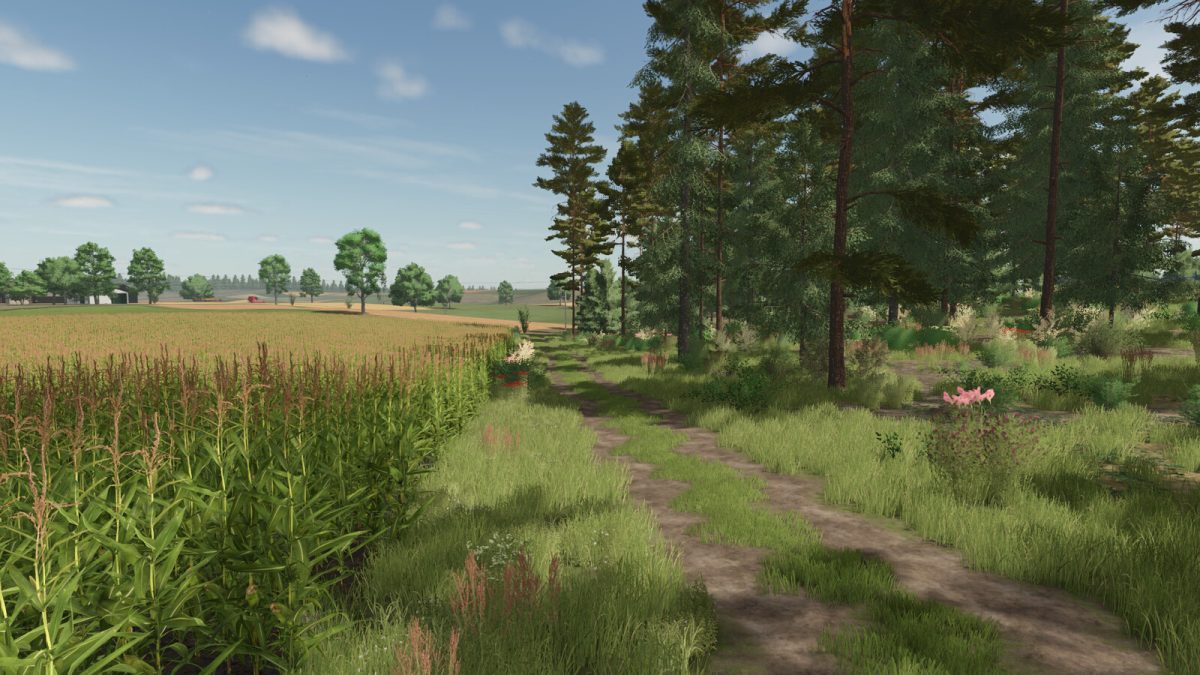Cybuchowo Map v 1.1
