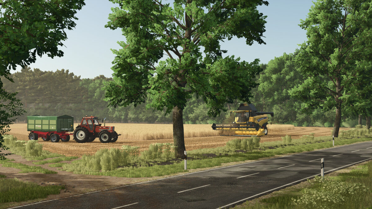 Diepholz 25 Map v 1.0