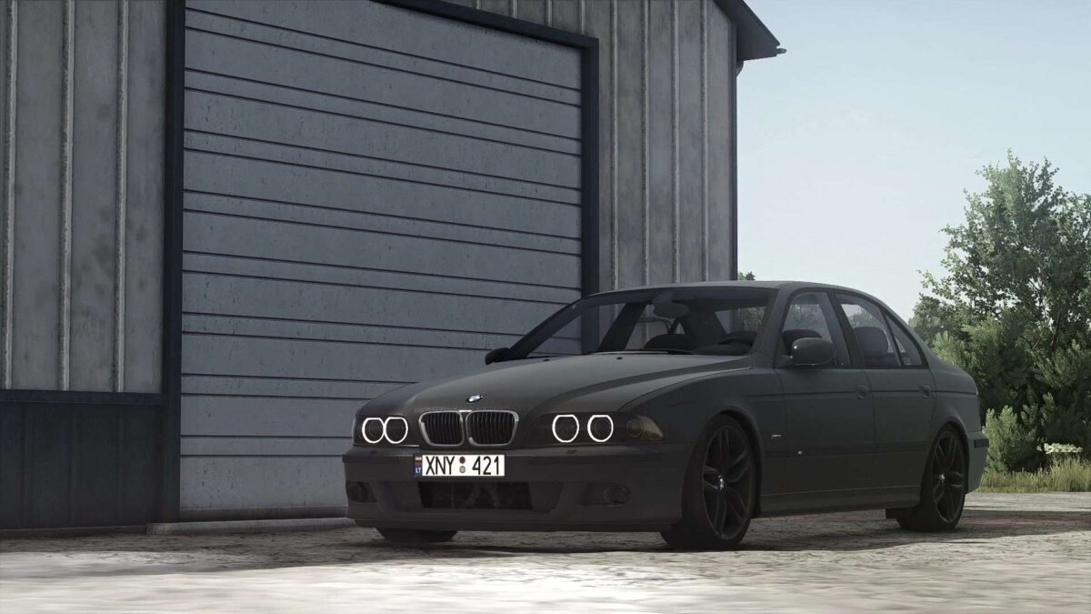 BMW E39 v 1.0.0.3