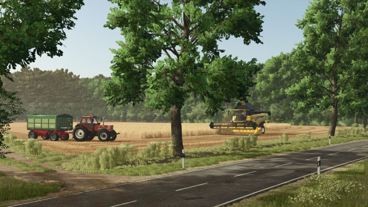 Diepholz 25 Map v 1.0.0.1