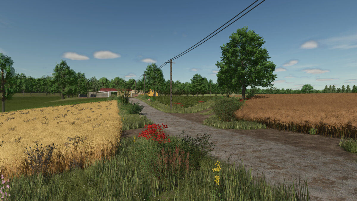 Lipinki Map v 1.5.1