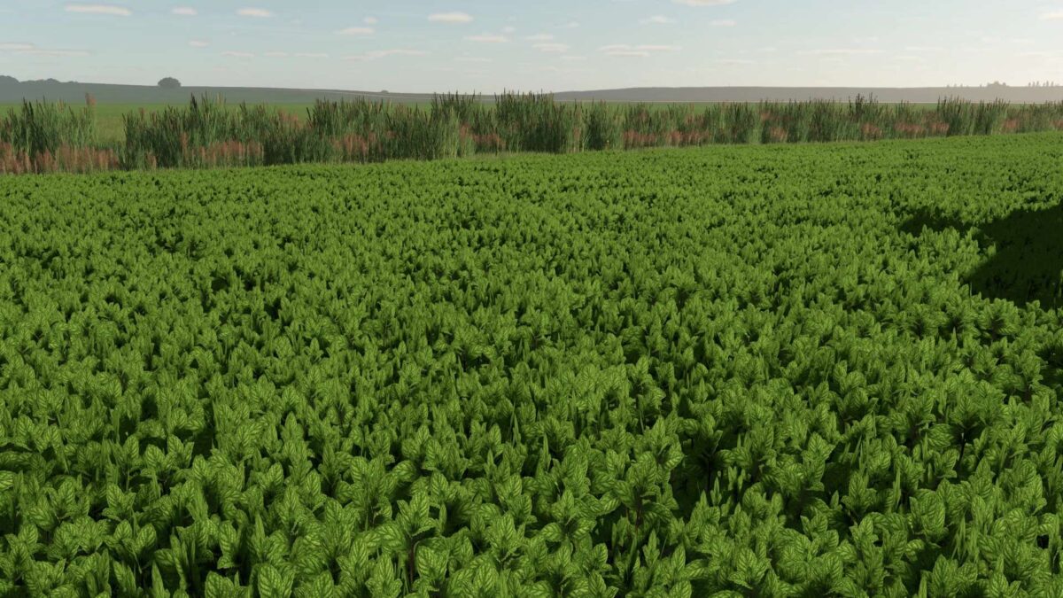 Mint Foliage v 1.0