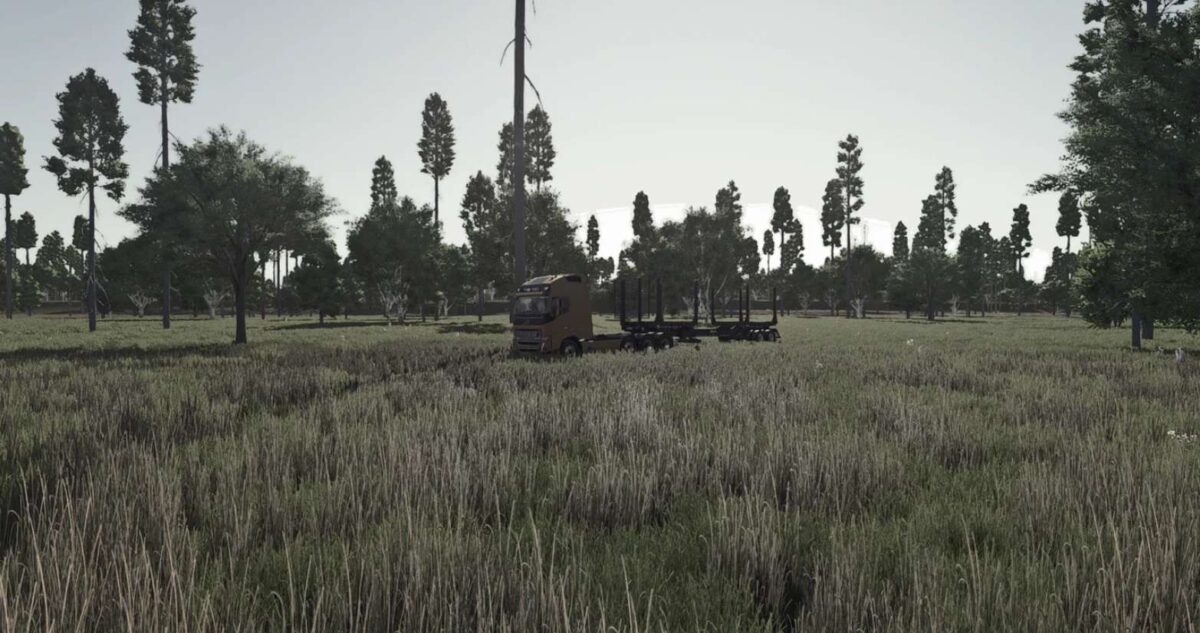 Old Lake Providence Forest Map v 0.0.0.1
