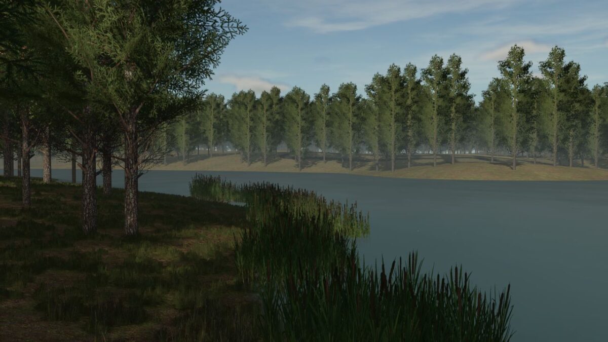 Staby Forest Map v 1.0