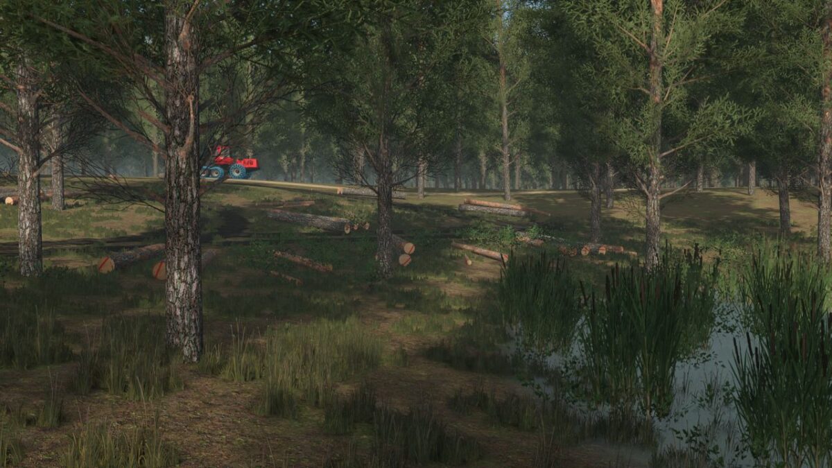Staby Forest Map v 1.0