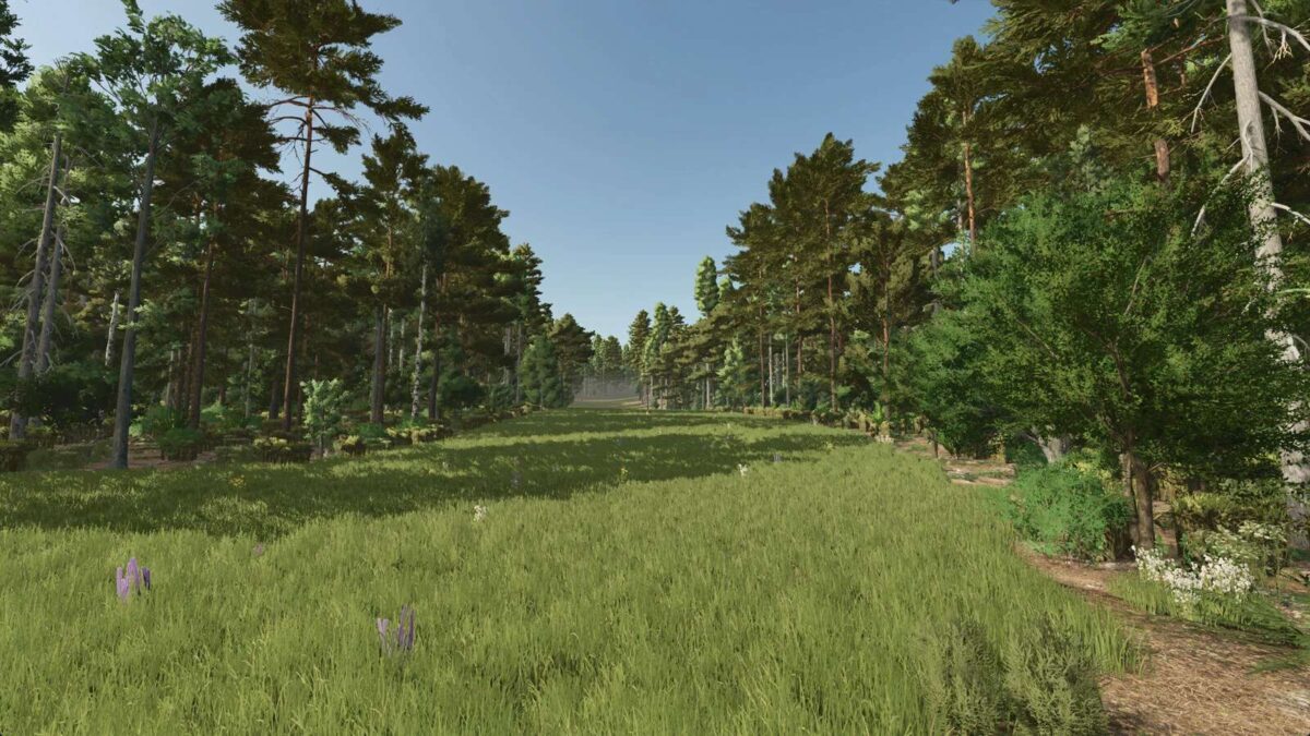 Homestead Map v 1.0.0.1