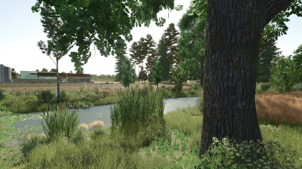 Starowies Map v 1.4