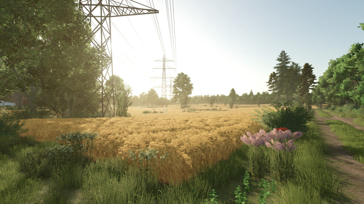 Starowies Map v 1.4