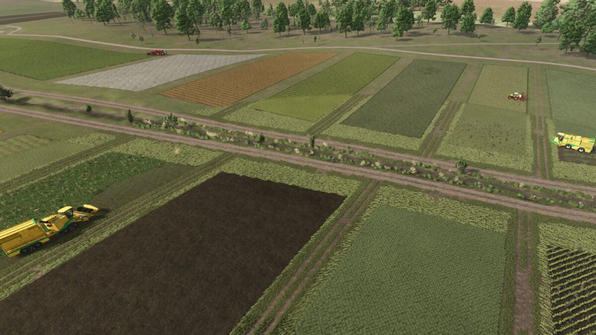 Neighbors on the Fields v 1.0