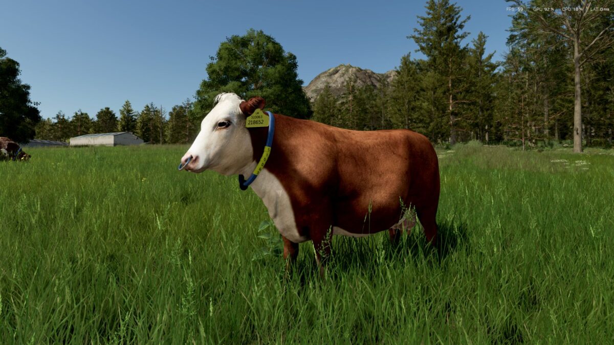 Cow Breeds (RLRM) v 1.0