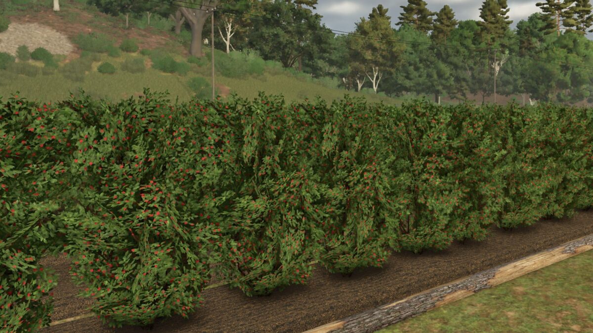 Fruit Orchards v 1.2.2