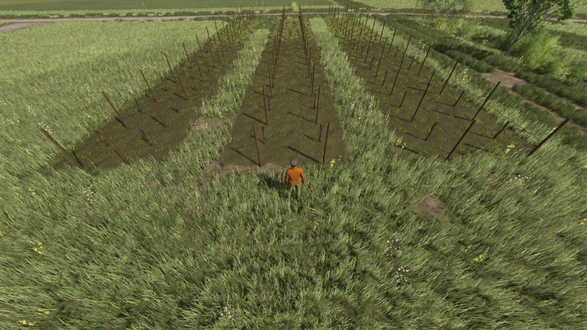 Narrow Vines and Olives (2 and 2.50) v 1.0