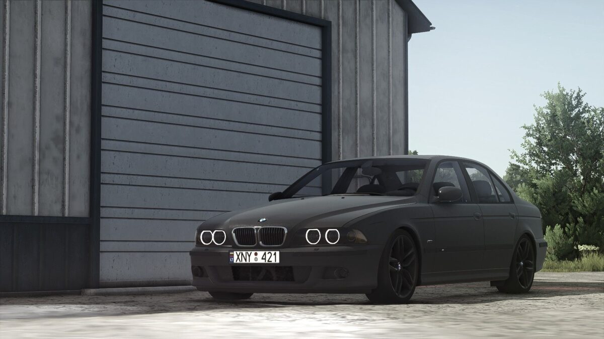 BMW E39 v 1.0.0.6
