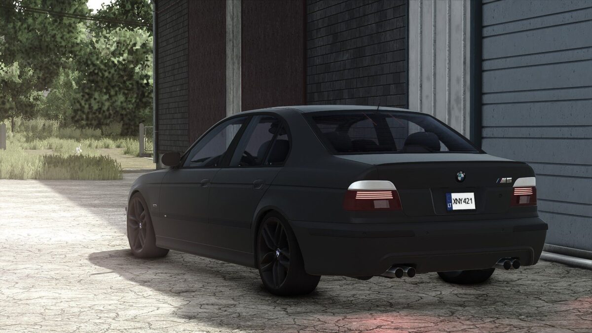 BMW E39 v 1.0.0.6