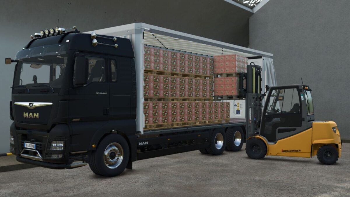 MAN TGX 26.640 Curtainsider Truck v 1.0