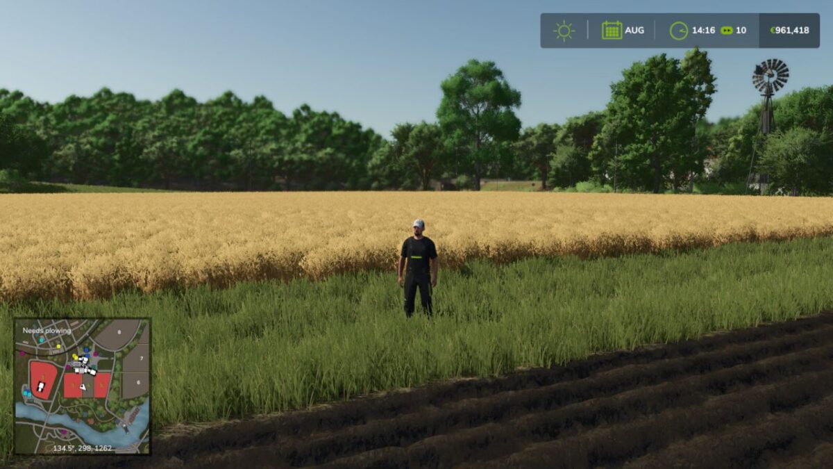 Minimap Plus v 1.0