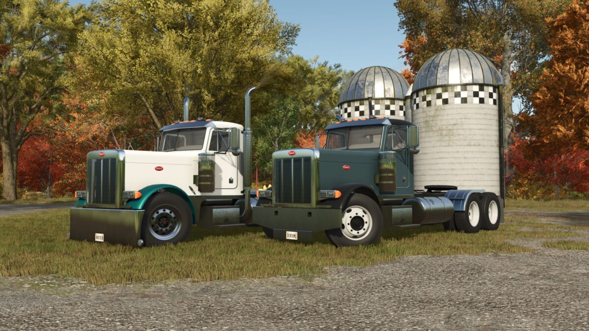 Peterbilt 379 v 1.0