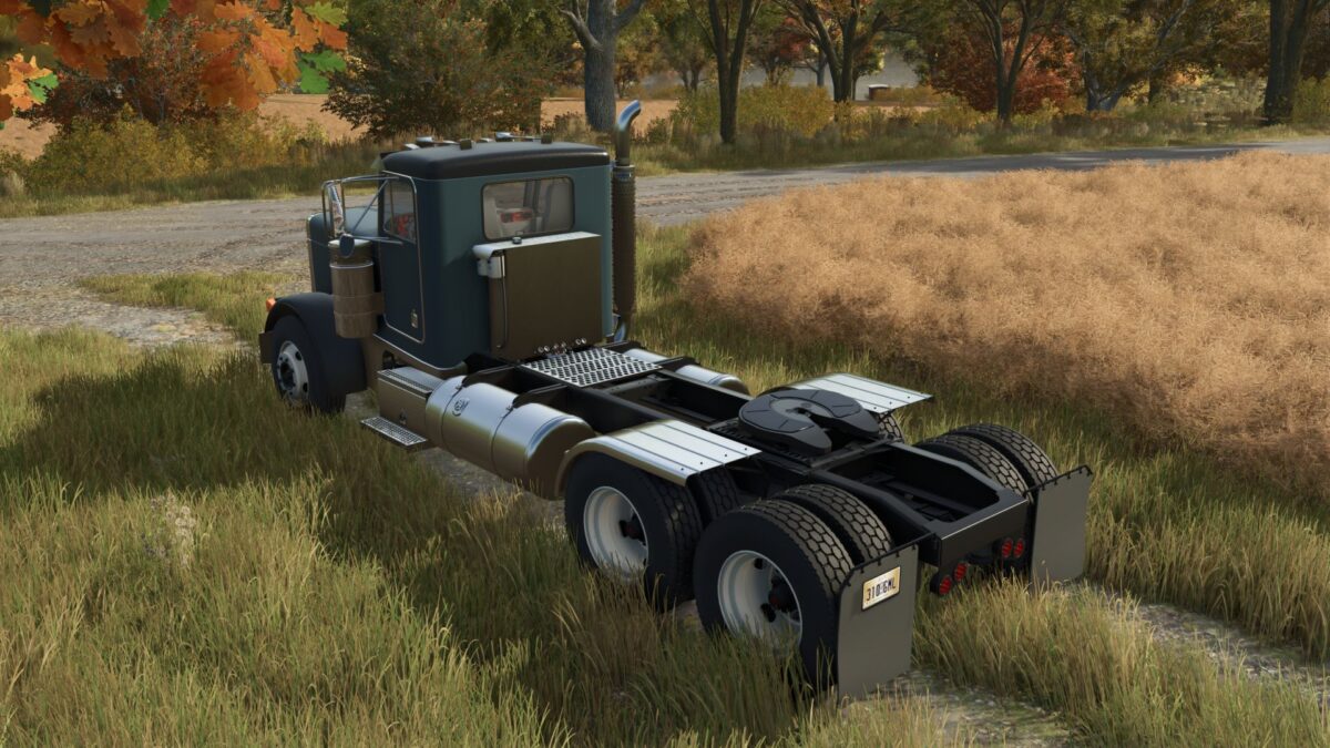 Peterbilt 379 v 1.0