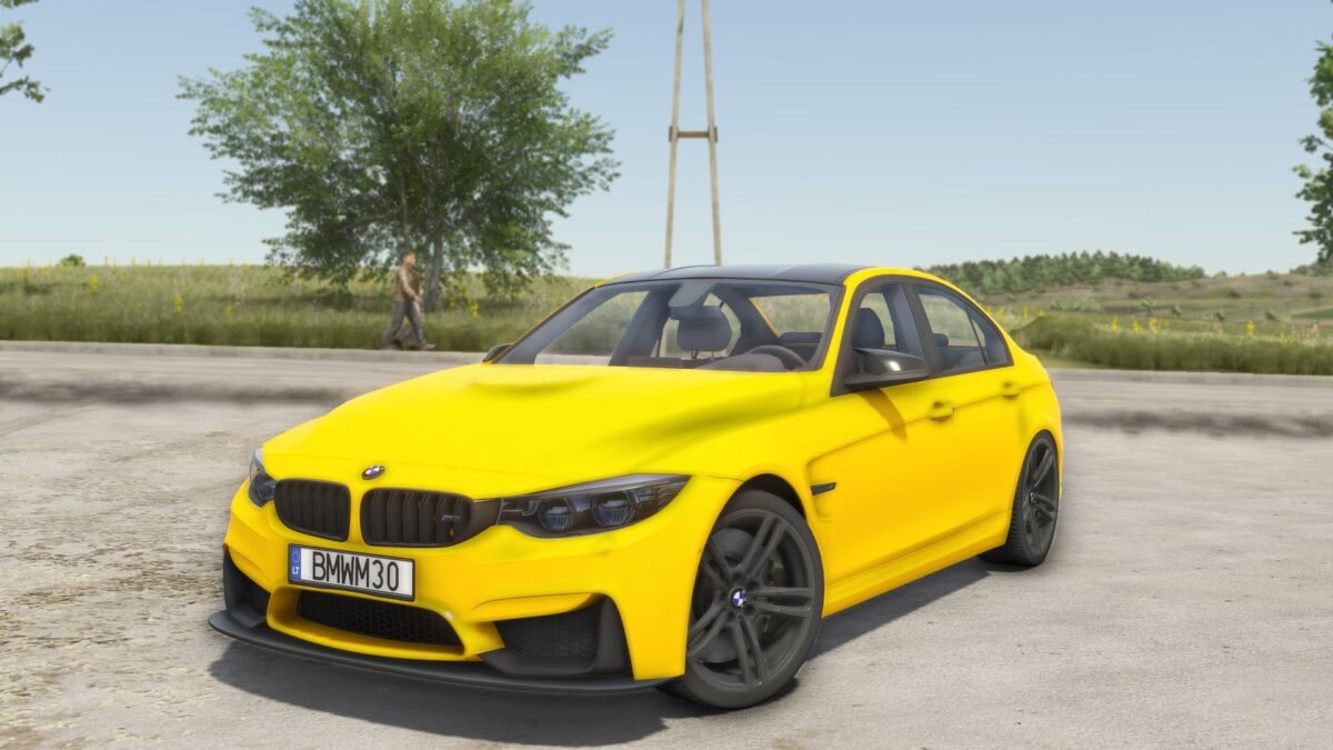 BMW M3 F80 v 1.0.0.2