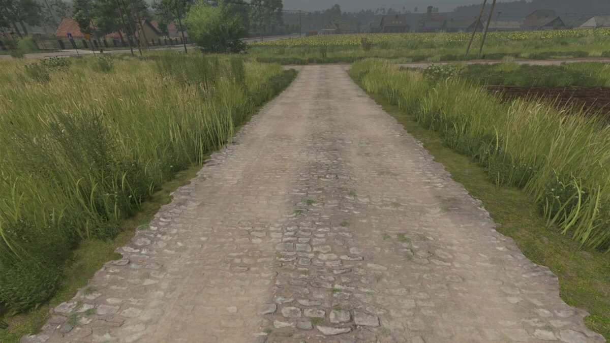 Mud and Cobblestone Roads v 1.0.0.2