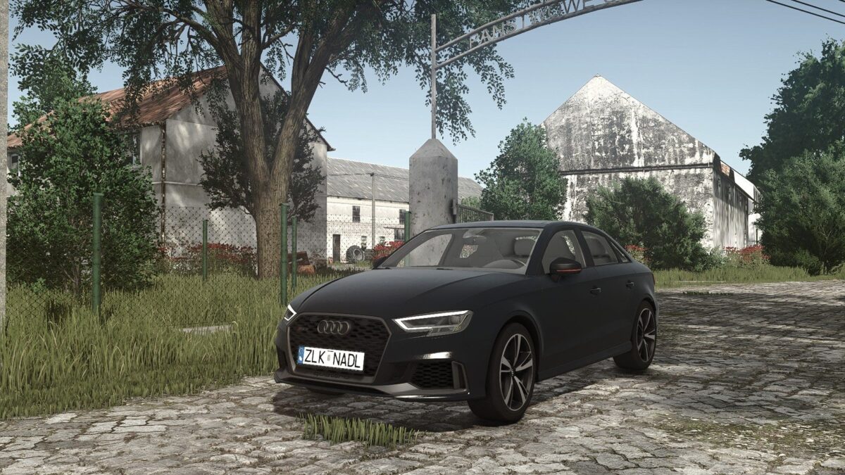 Audi RS3 2020 v 1.0.0.1