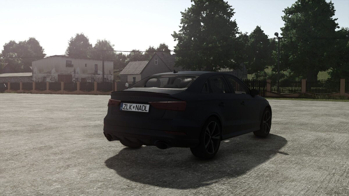 Audi RS3 2020 v 1.0.0.1