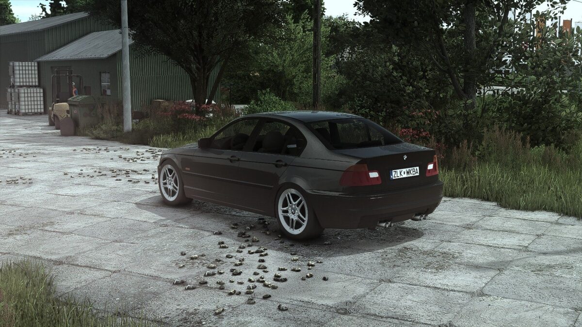 BMW E46 v 1.0.0.1