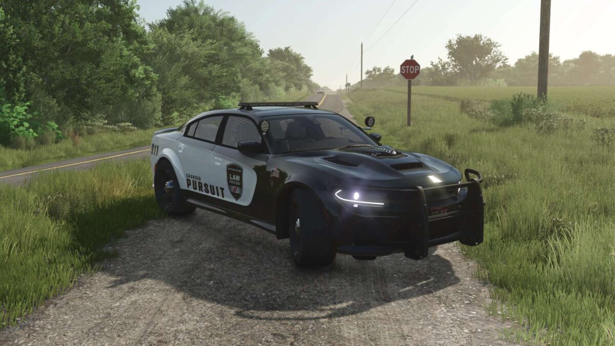 Dodge Charger Hellcat 2022 v 1.0