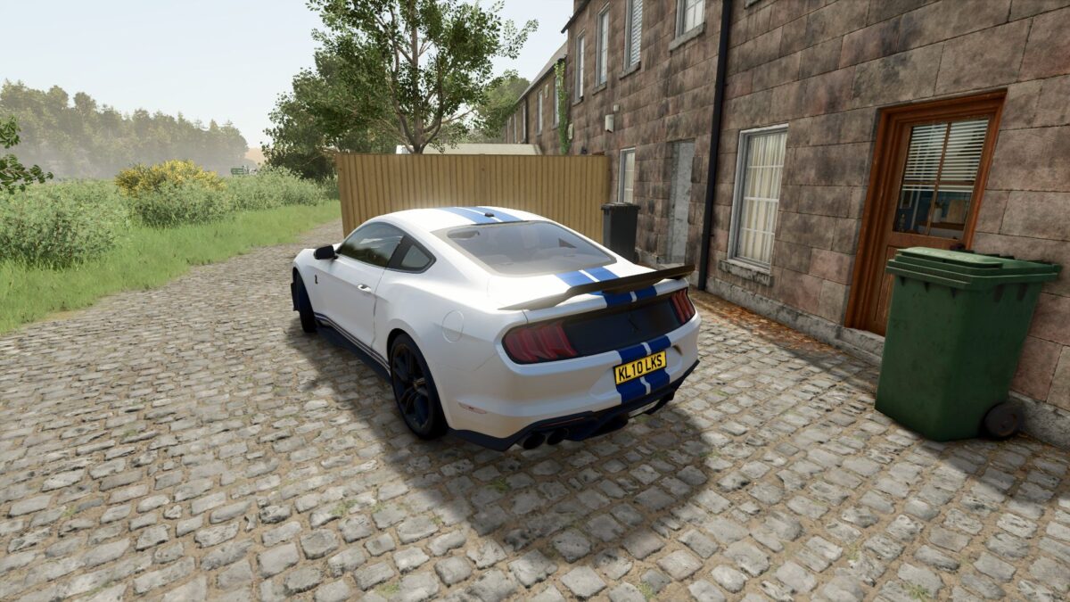 Ford Mustang Shelby GT500 2020 v 1.0