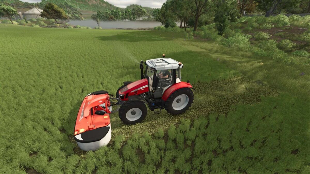 Mow Grass anytime v 1.0