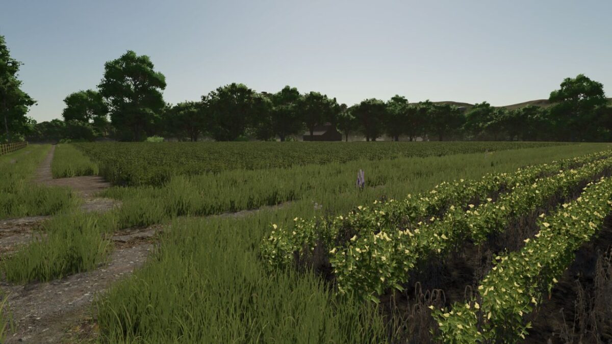 Repopulate Fields v 1.0