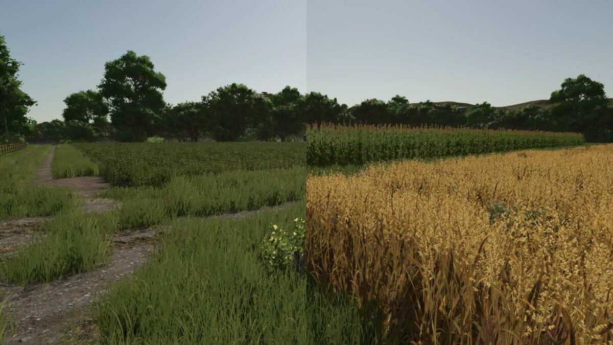 Repopulate Fields v 1.0