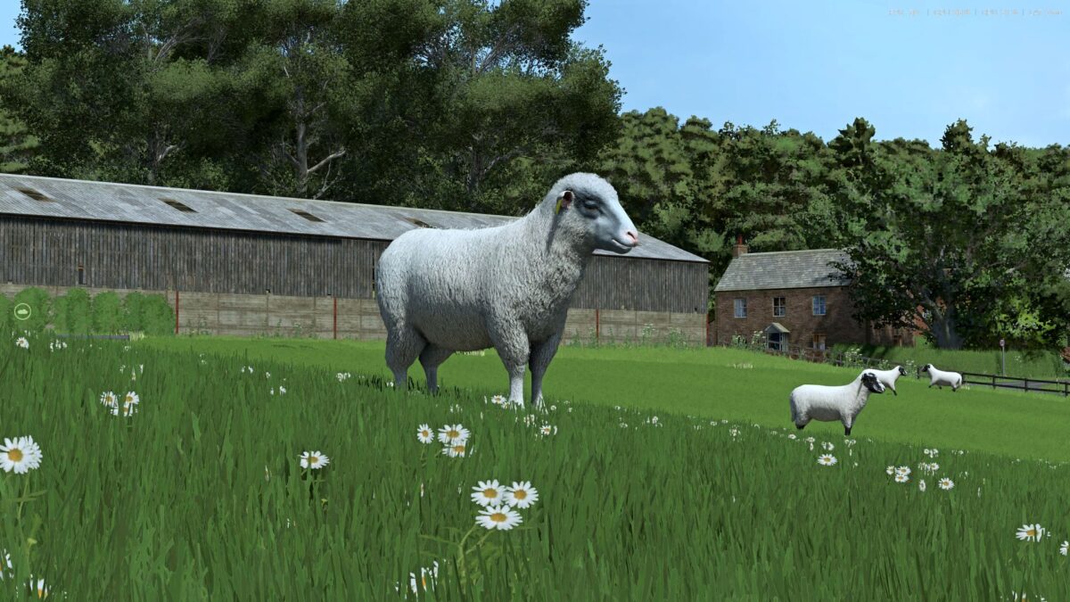 Sheep Breeds for RLRM v 1.0