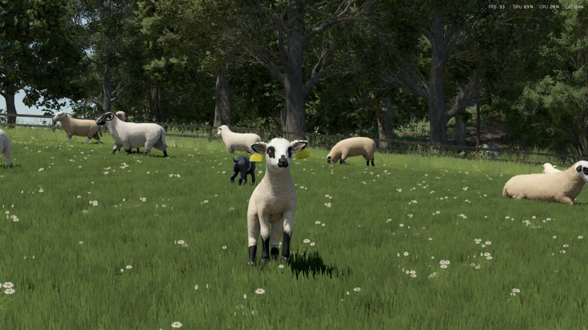 Sheep Breeds for RLRM v 1.0