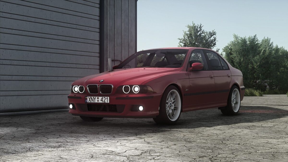 BMW E39 530D v 1.0.0.8