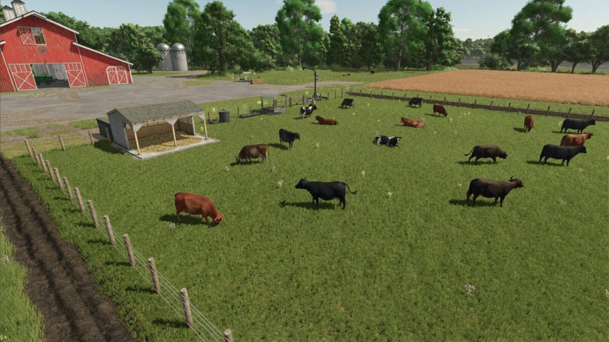 High Capacity Cow Pasture v 1.0 thumbnail 2