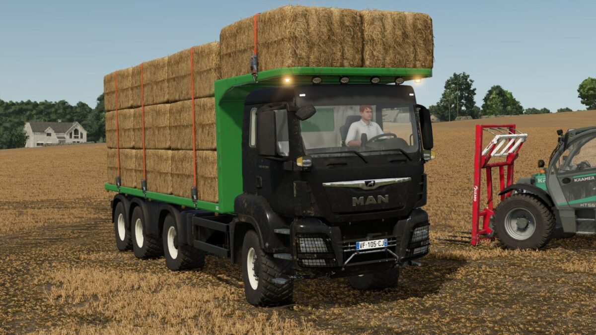 MAN TGS 18.500 Flatbed Truck v 1.5.0.1 thumbnail 2