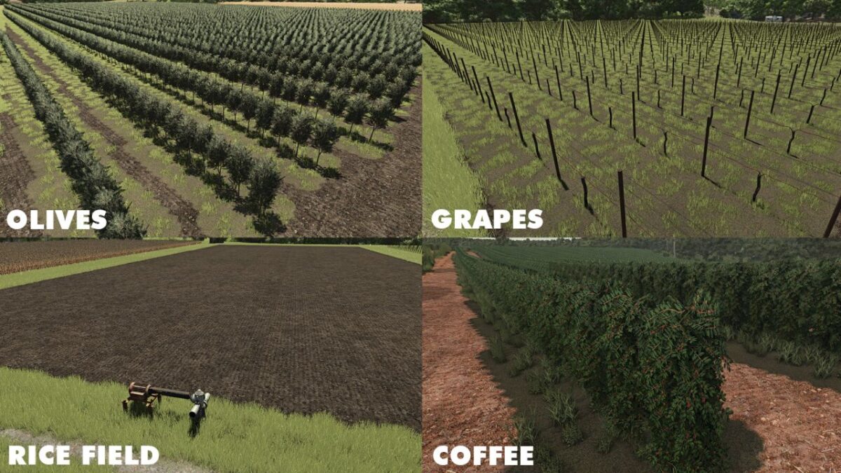 Auto Grove v 1.0