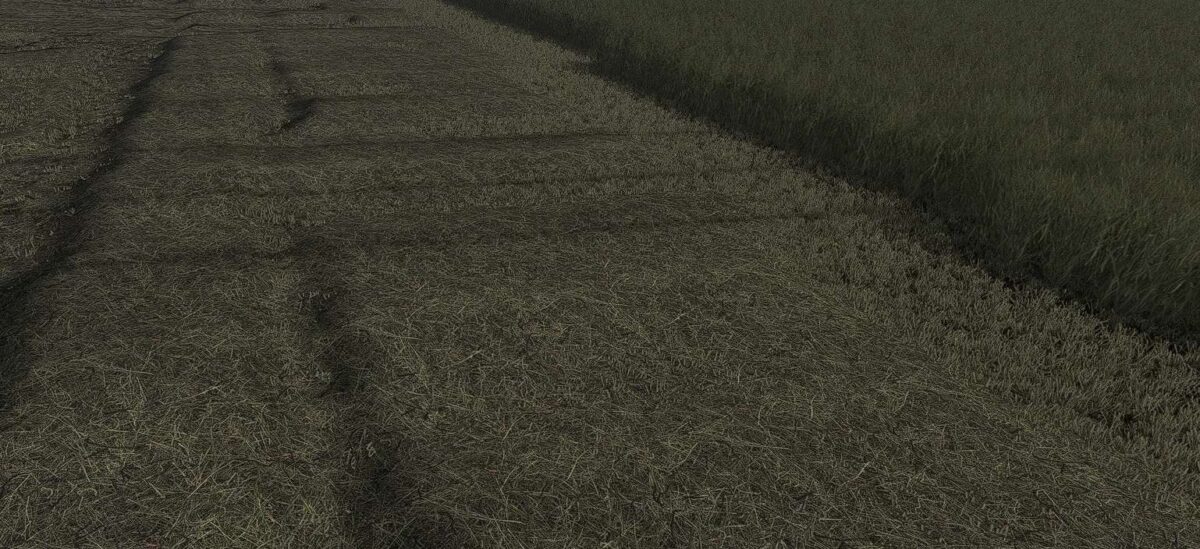 Gras Texture v 1.0