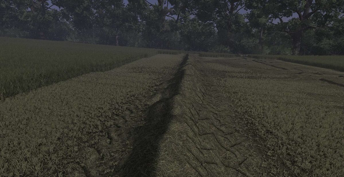 Gras Texture v 1.0