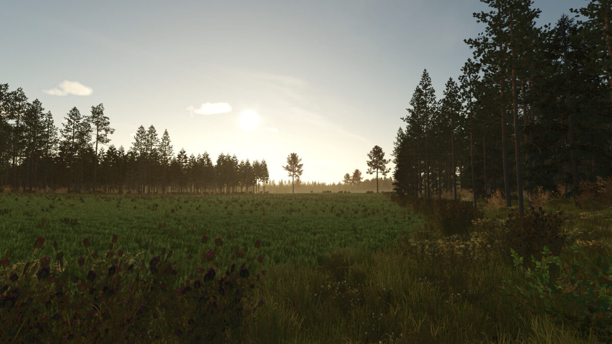 Kivi Küla v1.0.0.3