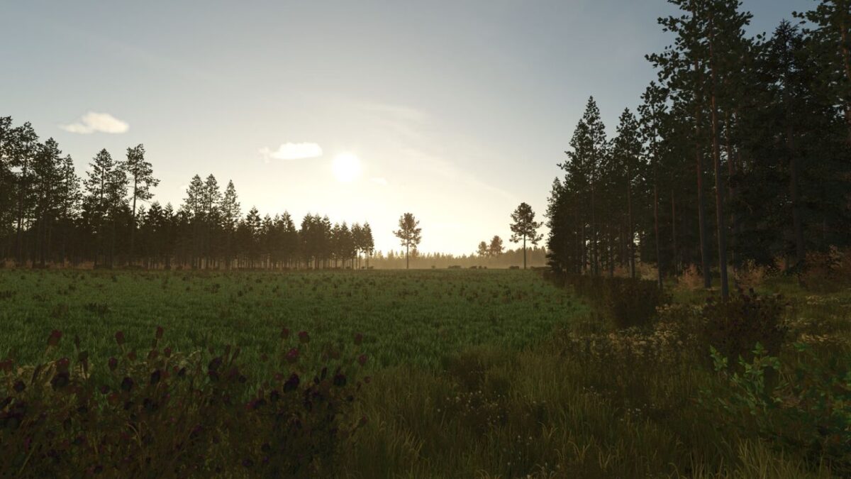 Kivi Kula Map v 1.0.0.3
