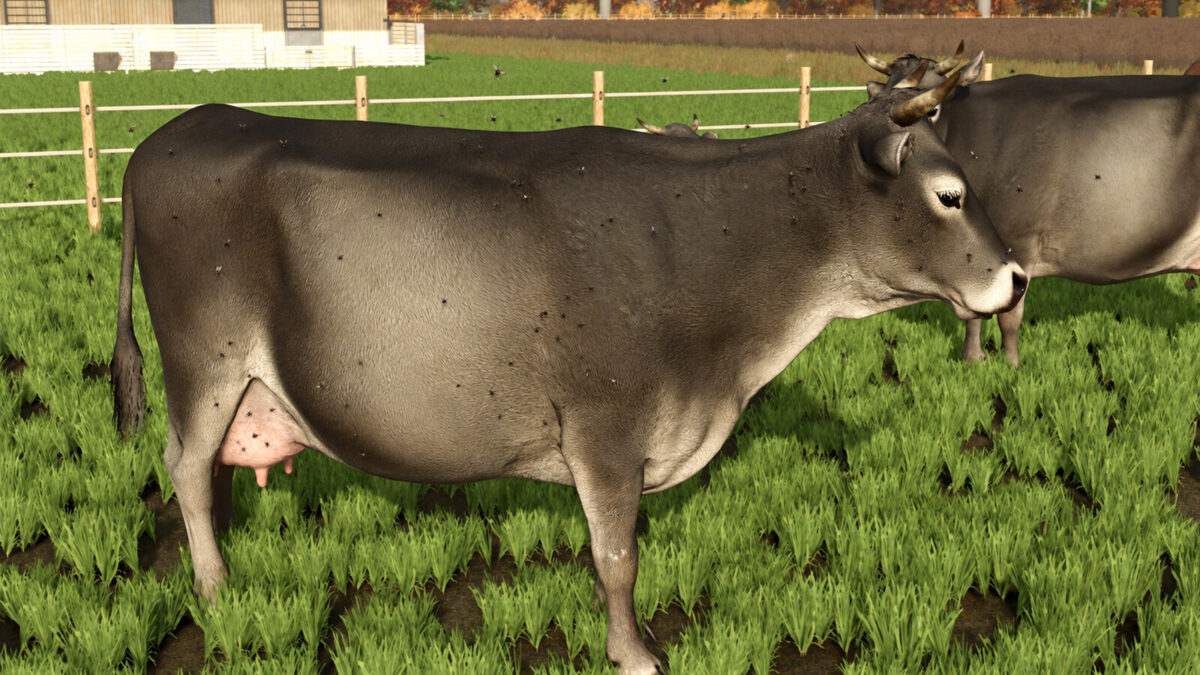 Livestock Flies v1.0.0.0